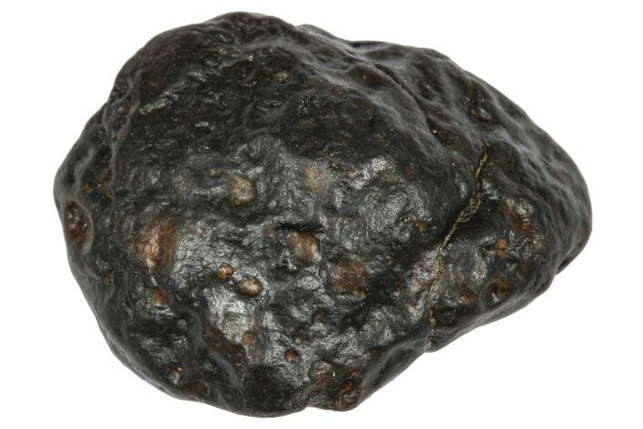 Carbonaceous Chondrite Meteorite ( g) - NWA #334423